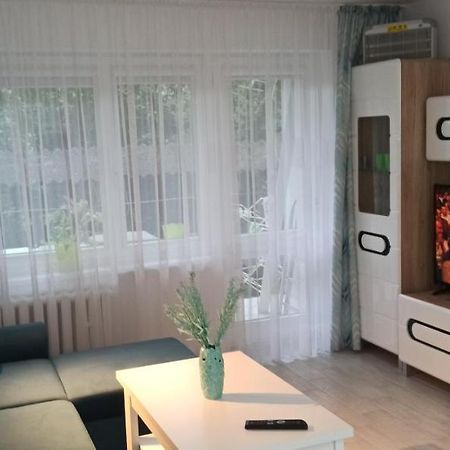 Magdalenka Appartement Legnica Buitenkant foto
